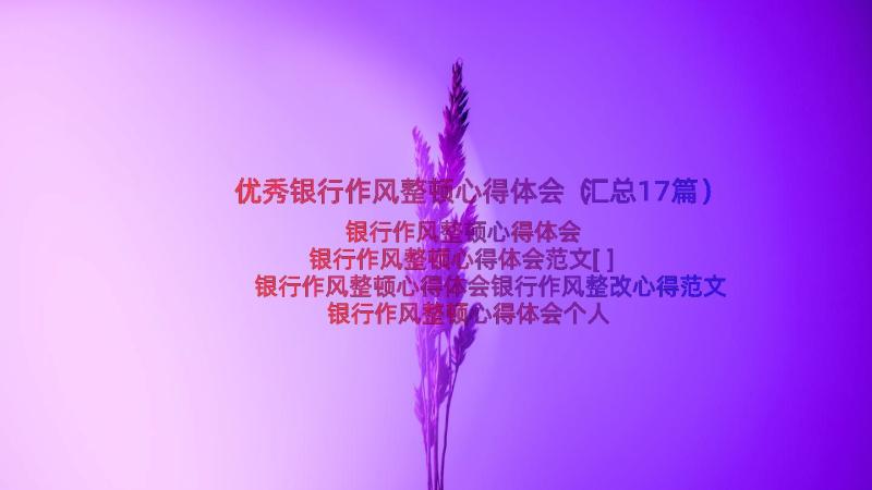 优秀银行作风整顿心得体会（汇总17篇）