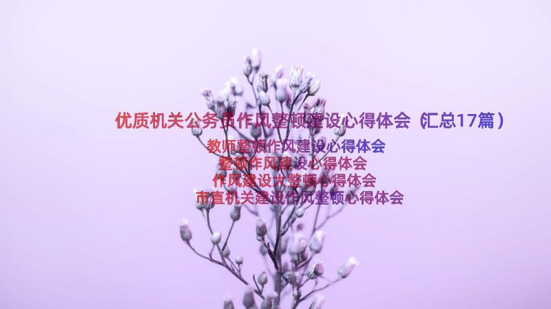 优质机关公务员作风整顿建设心得体会（汇总17篇）