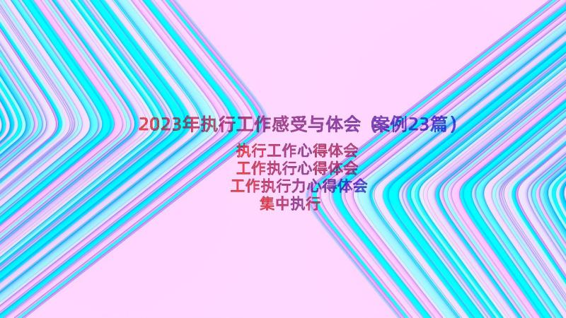 2023年执行工作感受与体会（案例23篇）