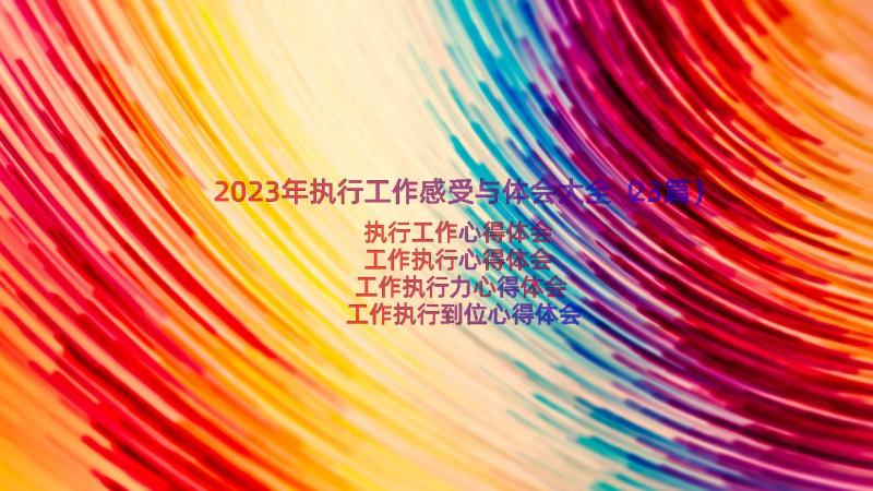 2023年执行工作感受与体会大全（23篇）