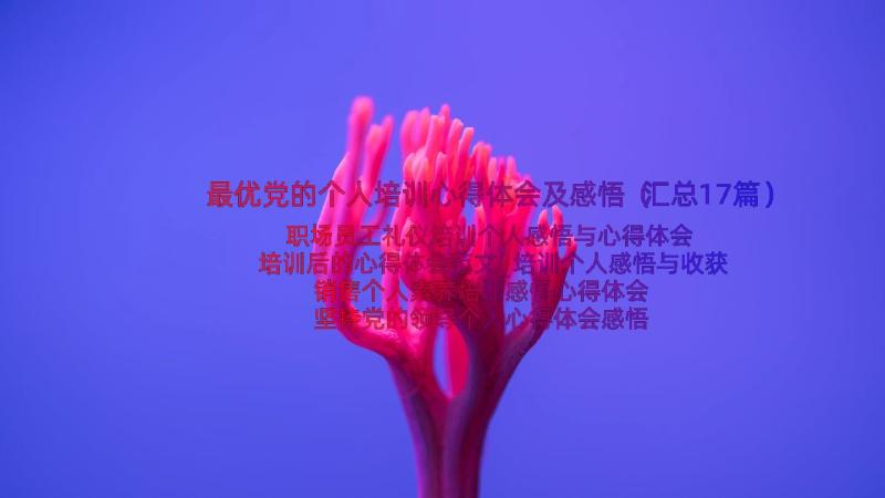 最优党的个人培训心得体会及感悟（汇总17篇）