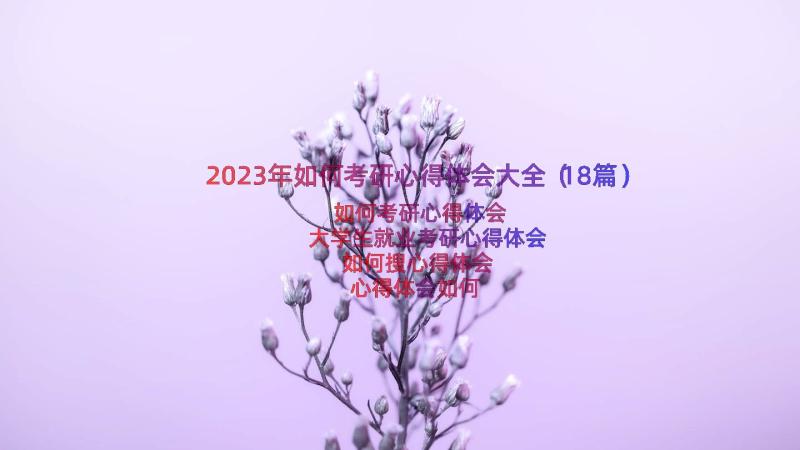 2023年如何考研心得体会大全（18篇）