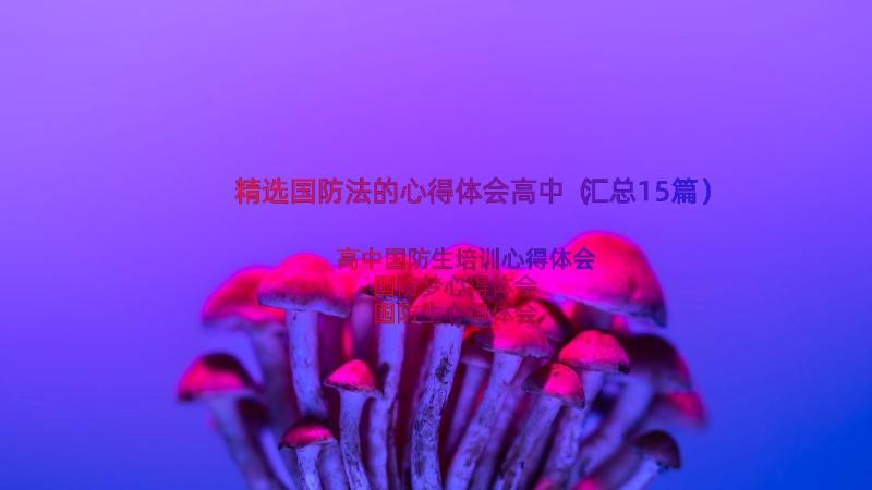 精选国防法的心得体会高中（汇总15篇）