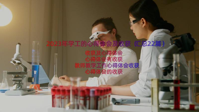 2023年学工的心得体会及收获（汇总22篇）