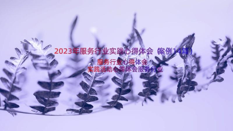 2023年服务行业实践心得体会（案例14篇）