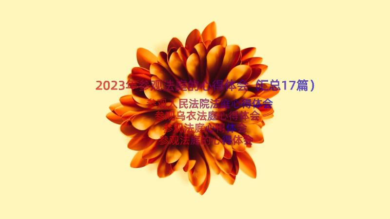 2023年参观法庭的心得体会（汇总17篇）