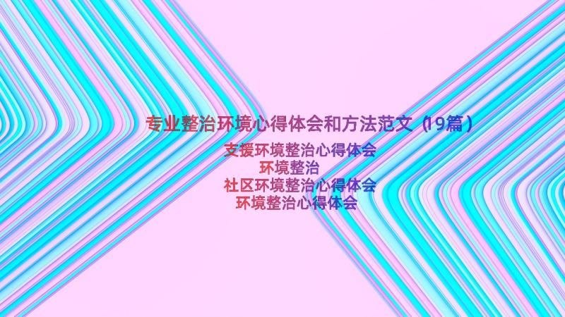 专业整治环境心得体会和方法范文（19篇）