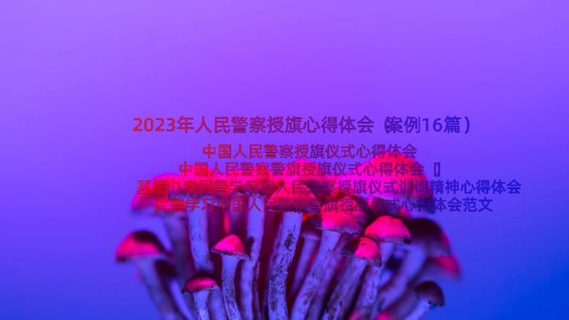 2023年人民警察授旗心得体会（案例16篇）