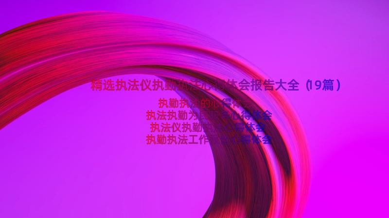 精选执法仪执勤执法心得体会报告大全（19篇）