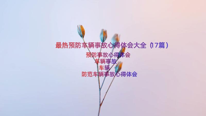 最热预防车辆事故心得体会大全（17篇）