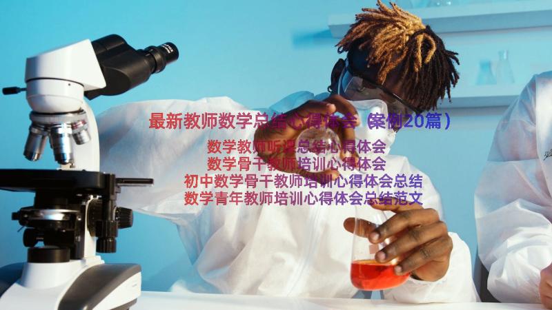 最新教师数学总结心得体会（案例20篇）