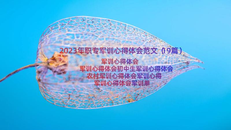 2023年职专军训心得体会范文（19篇）