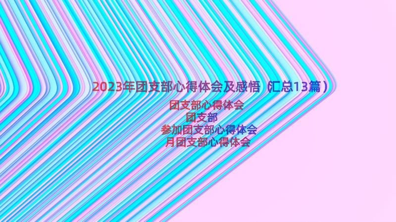 2023年团支部心得体会及感悟（汇总13篇）