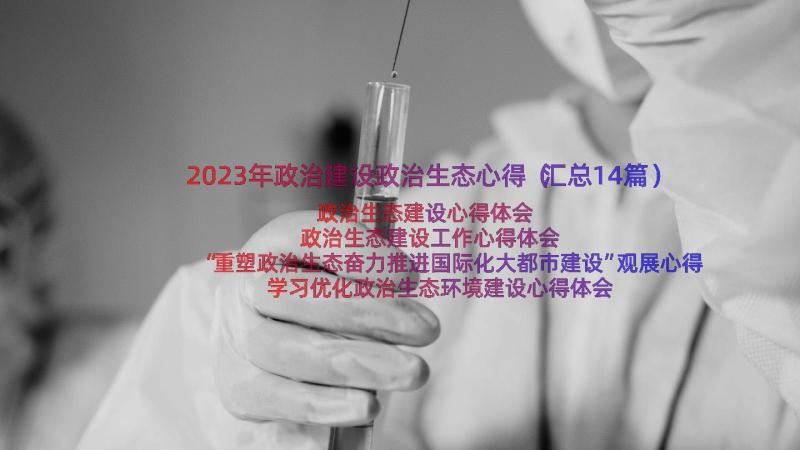 2023年政治建设政治生态心得（汇总14篇）