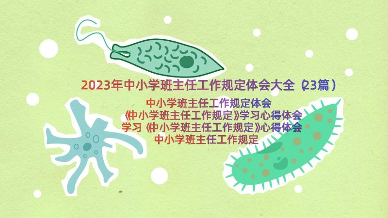 2023年中小学班主任工作规定体会大全（23篇）