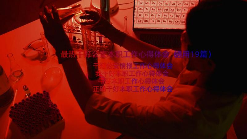 最热干好公安本职工作心得体会（通用19篇）