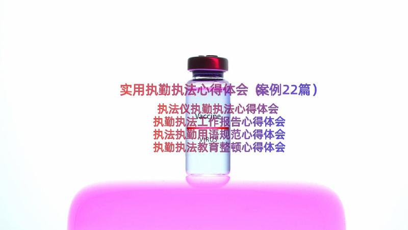 实用执勤执法心得体会（案例22篇）