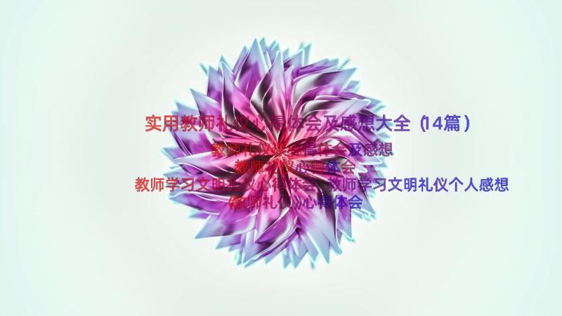 实用教师礼仪心得体会及感想大全（14篇）