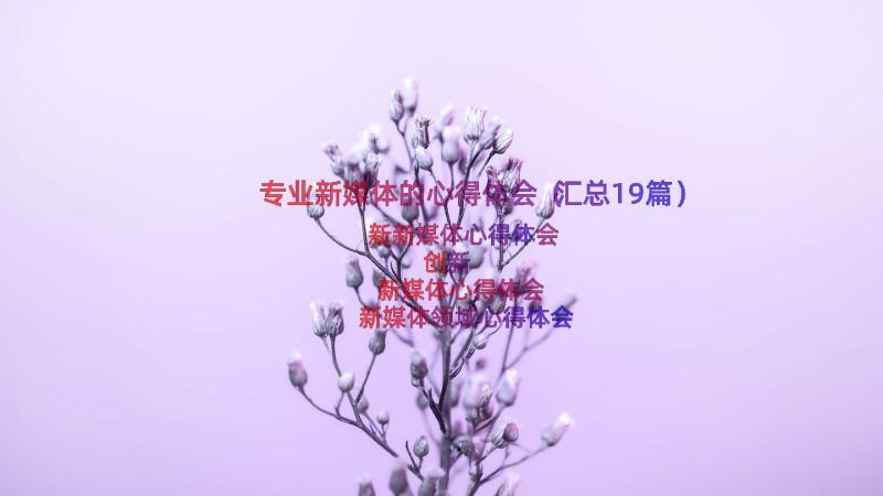 专业新媒体的心得体会（汇总19篇）