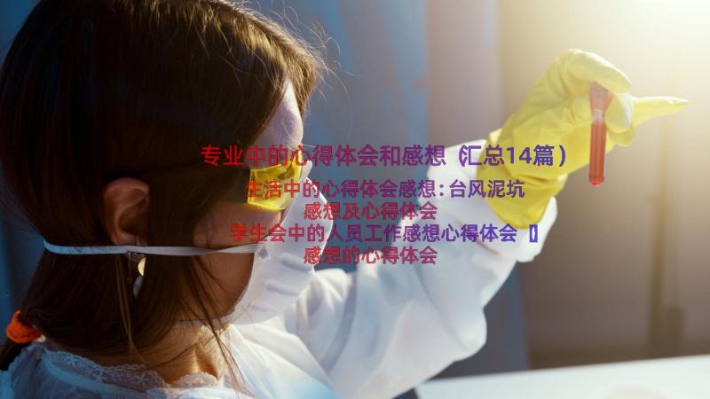 专业中的心得体会和感想（汇总14篇）