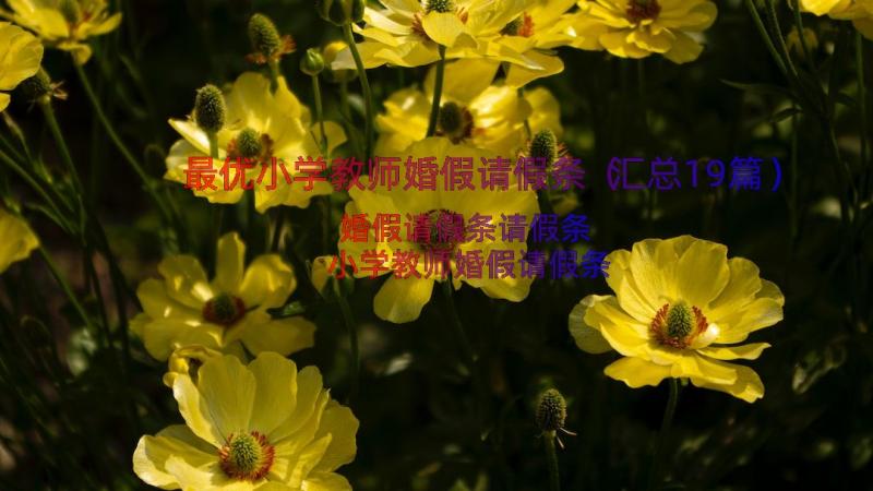 最优小学教师婚假请假条（汇总19篇）