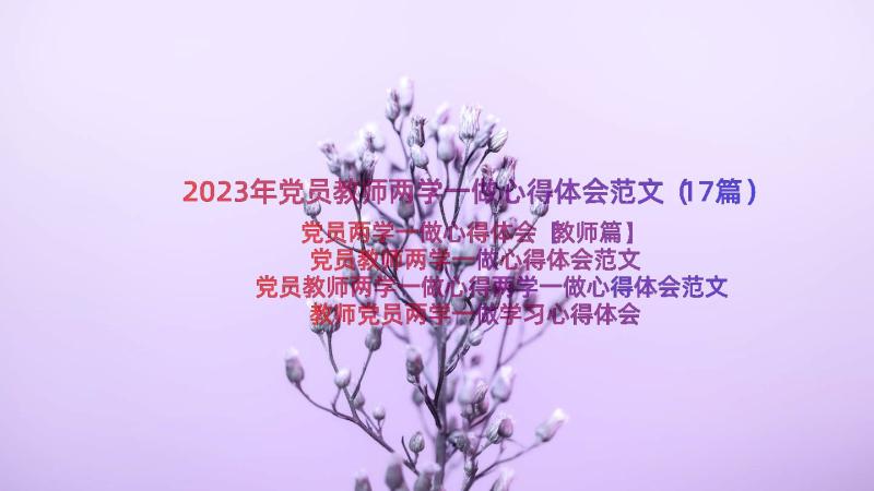 2023年党员教师两学一做心得体会范文（17篇）