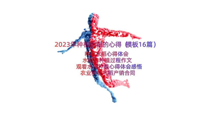 2023年种植水稻的心得（模板16篇）