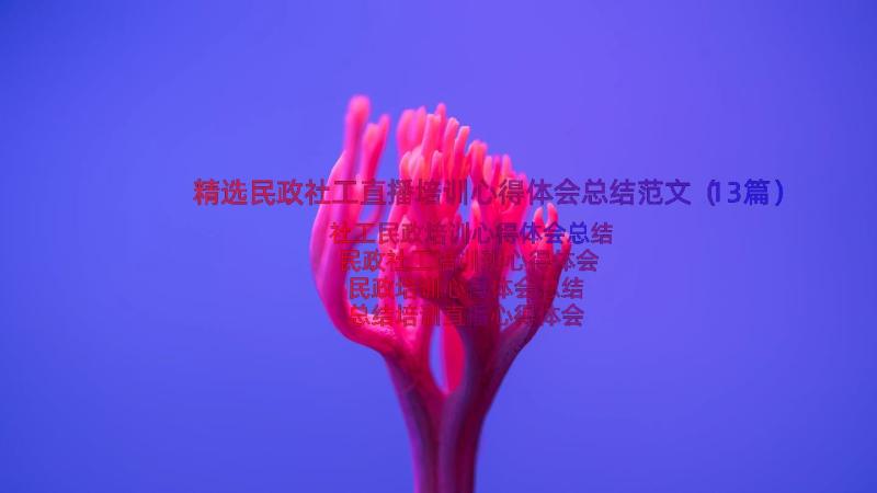 精选民政社工直播培训心得体会总结范文（13篇）