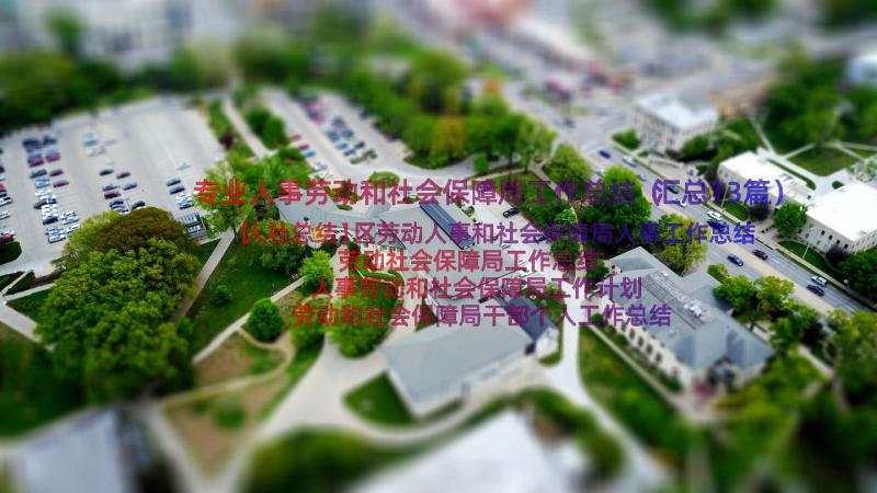 专业人事劳动和社会保障局工作总结（汇总13篇）