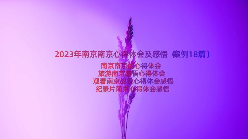 2023年南京南京心得体会及感悟（案例18篇）