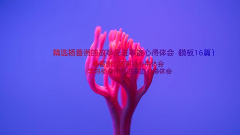 精选杨善洲的故事先进事迹心得体会（模板16篇）