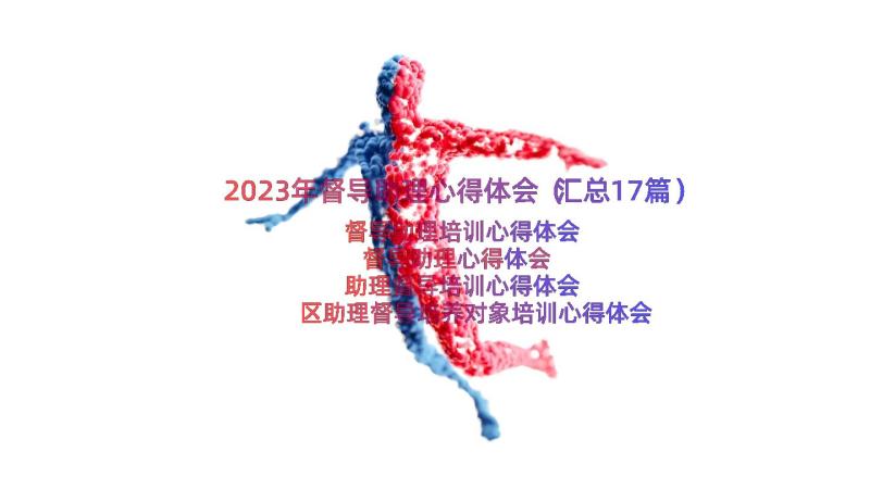 2023年督导助理心得体会（汇总17篇）