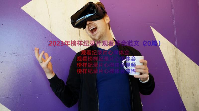 2023年榜样纪录片观看体会范文（20篇）