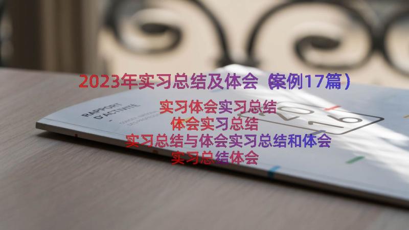 2023年实习总结及体会（案例17篇）