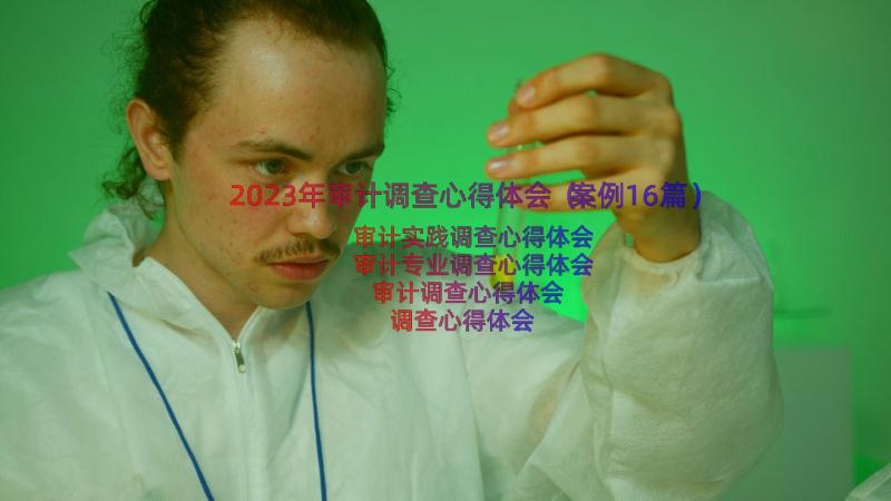 2023年审计调查心得体会（案例16篇）