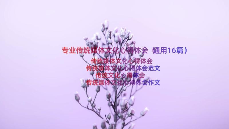 专业传统媒体文化心得体会（通用16篇）