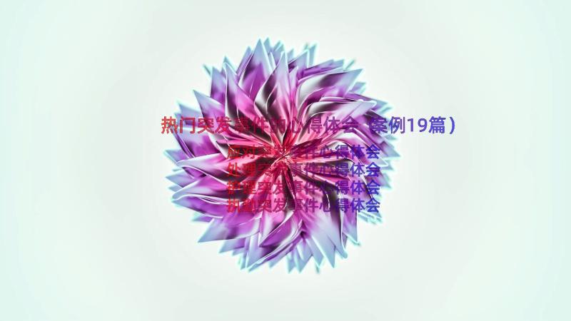 热门突发事件的心得体会（案例19篇）