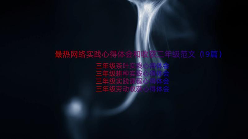 最热网络实践心得体会和收获三年级范文（19篇）