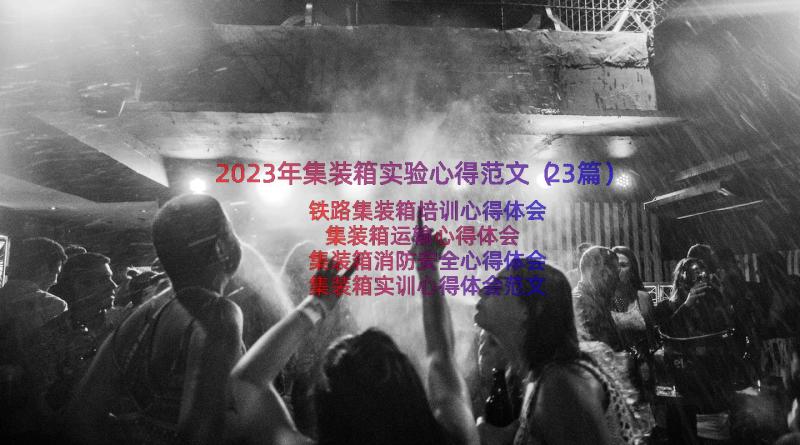 2023年集装箱实验心得范文（23篇）