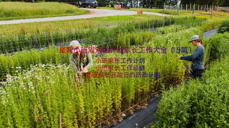 最新小班周活动计划家长工作大全（15篇）