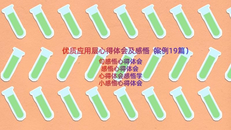 优质应用层心得体会及感悟（案例19篇）