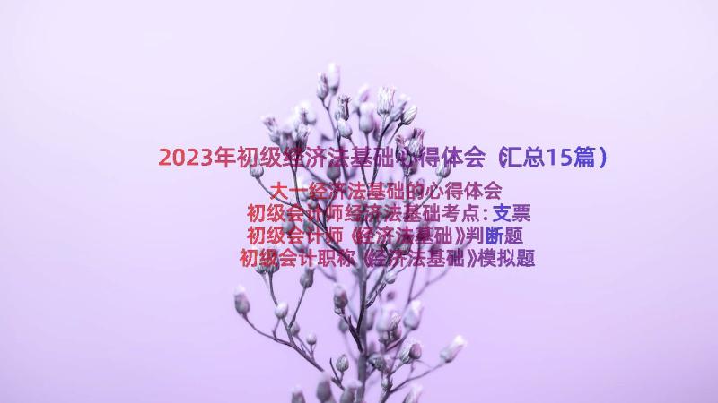 2023年初级经济法基础心得体会（汇总15篇）