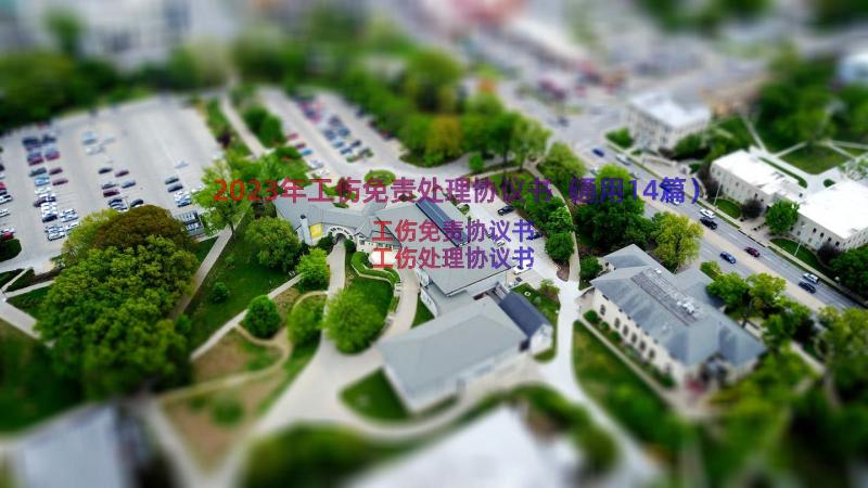 2023年工伤免责处理协议书（通用14篇）