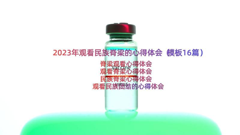 2023年观看民族脊梁的心得体会（模板16篇）