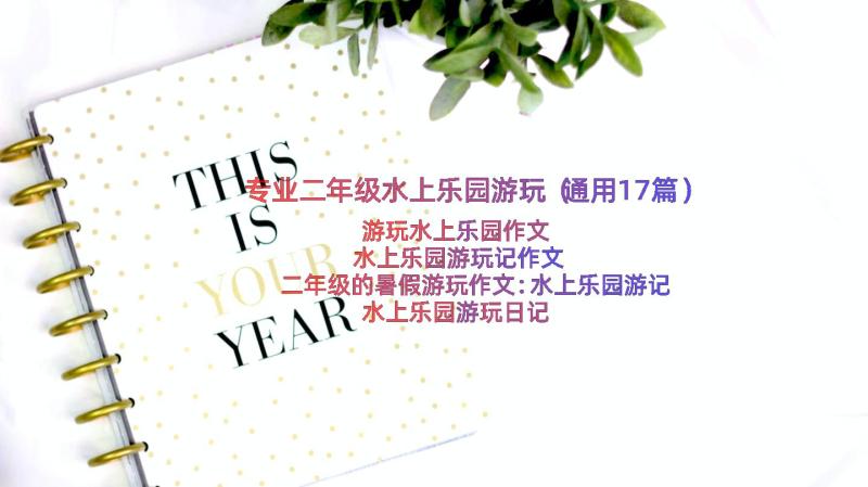 专业二年级水上乐园游玩（通用17篇）