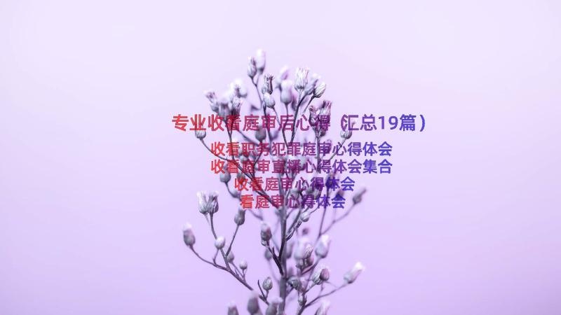 专业收看庭审后心得（汇总19篇）