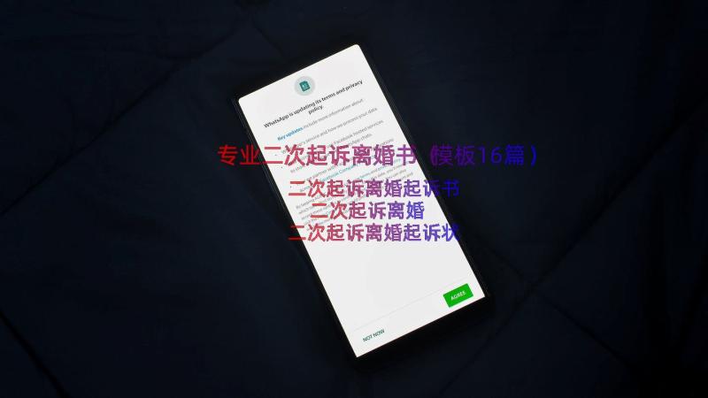 专业二次起诉离婚书（模板16篇）