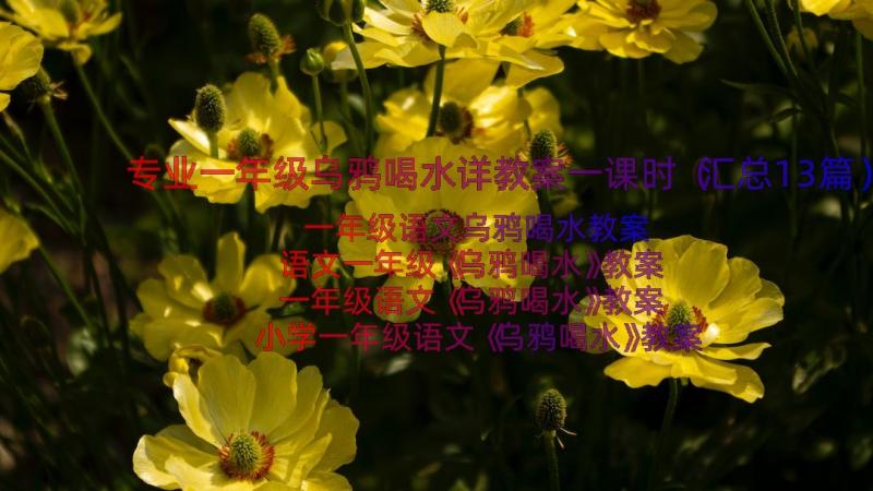 专业一年级乌鸦喝水详教案一课时（汇总13篇）