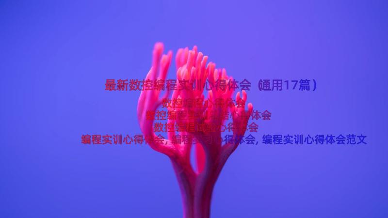 最新数控编程实训心得体会（通用17篇）