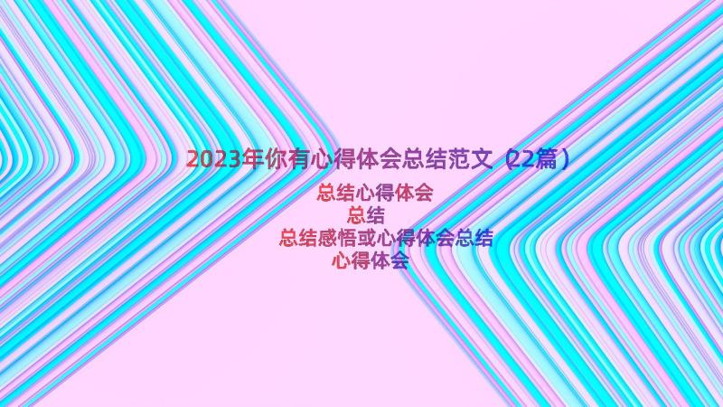 2023年你有心得体会总结范文（22篇）